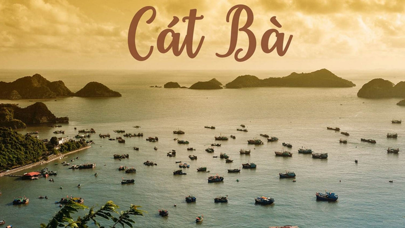 Hà Nội - Cát Bà 2 ngày 1 đêm