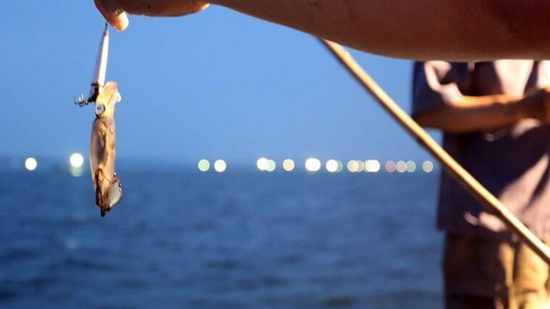 Câu Mực Tại Sầm Sơn Buổi Tối Trên Biển với Ngư Dân