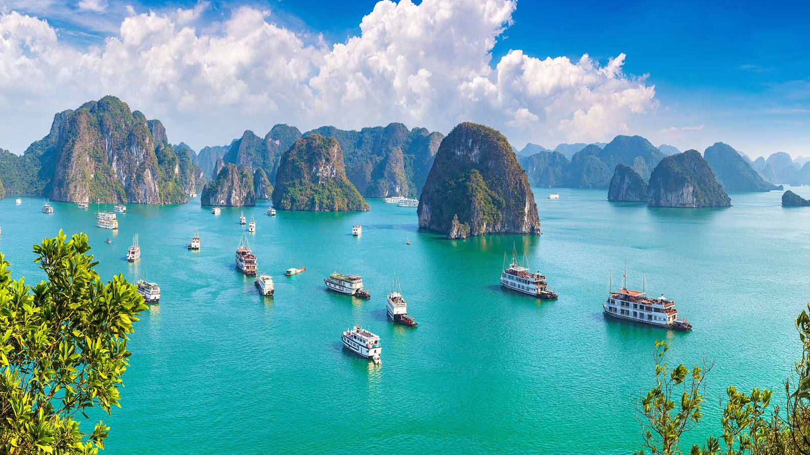 Hà Nội - Tham quan Vịnh Lan Hạ - Cát Bà 1 ngày 