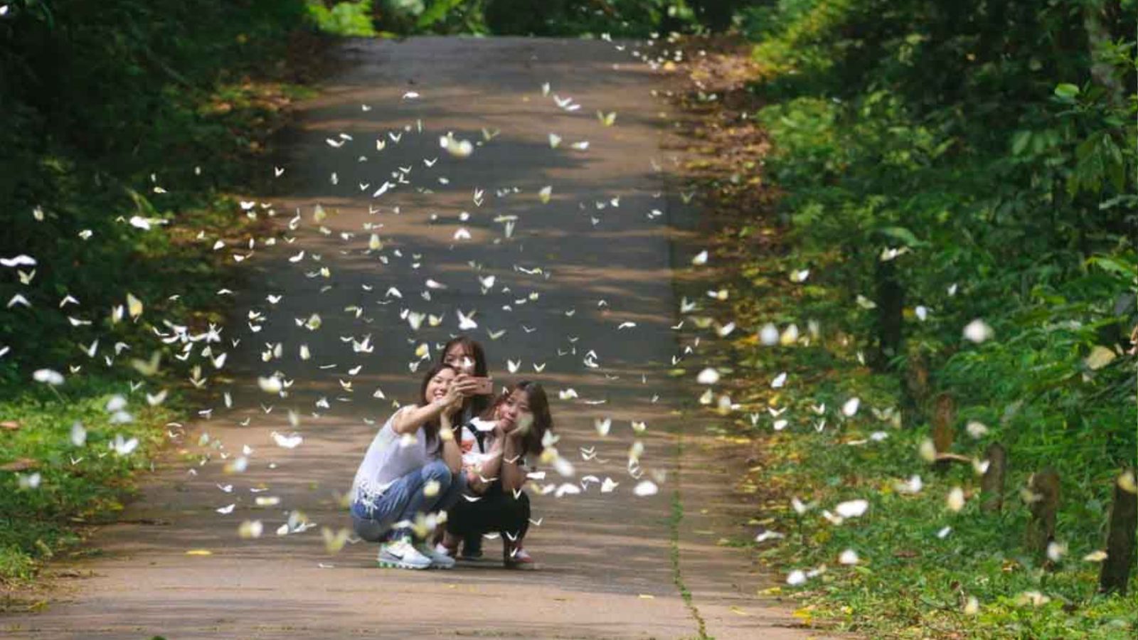 Du Lịch Cúc Phương 1 Ngày