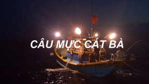 Câu Mực Cát Bà Buổi Tối Trên Vịnh Lan Hạ