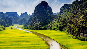 Hoa Lư - Tam Cốc 1 ngày