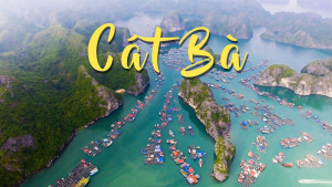 Hà Nội - Cát bà 2 ngày 1 đêm đi cao tốc
