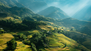 Hà Nội - Ninh Bình - Sapa 3n2đ