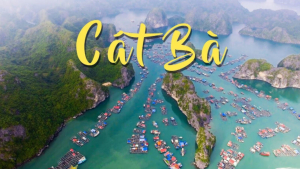 Du lịch Cát Bà từ Thái Bình 3 ngày 2 đêm