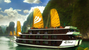 Du Thuyền Hạ Long Bhaya 2 Ngày 1 Đêm