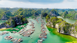 Hà Nội - Cát Bà 3 ngày 2 đêm