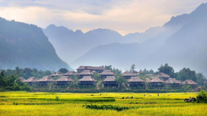 KHÁM PHÁ THUNG LŨNG MAI CHÂU 2 NGÀY 1 ĐÊM