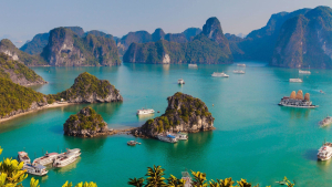 Hà Nội - Hạ Long Teambuilding 2 ngày 1 đêm