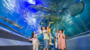 City Tour Nha Trang 1 ngày