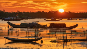 TOUR HOÀNG HÔN TRÊN PHÁ TAM GIANG