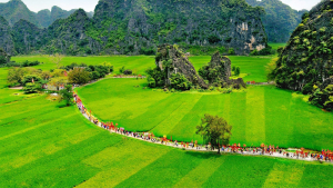 Tour Du Lịch Ninh Bình - Hạ Long - Sapa - Hà Giang 6 Ngày 6 Đêm