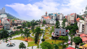 Tour Du Lịch Hà Nội - Tam Đảo - 1 ngày